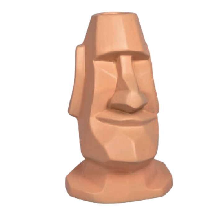 Blurred Image